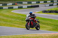 Lower Group Red Bikes